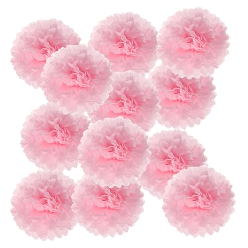 PATIKIL 4-Zoll-Papier-Pompons, 12 Stück Pompons Papierblumen Ball Tissue-Papierblumen für Hochzeit Brautdusche Geburtstag Junggesellinnenabschied Party Hintergrunddekoration, Pink von PATIKIL