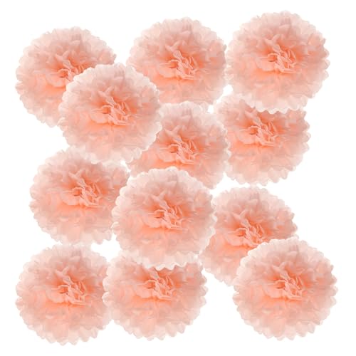 PATIKIL 4-Zoll-Papier-Pompons, 12 Stück Pompons Papierblumen Ball Tissue-Papierblumen für Hochzeit Brautdusche Geburtstags-Junggesellinnenabschiedsfeier Hintergrunddekoration, Hellorange PATIKIL 4-Zoll-Papier-Pompons, 12 Stück Pompons Papierblumen Ball Tissue-Papierblumen für Hochzeit Brautdusche Geburtstags-Junggesellinnenabschiedsfeier Hintergrunddekoration, Hellorange von PATIKIL