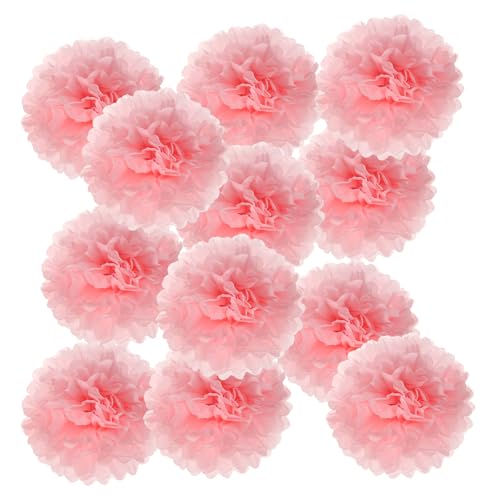 PATIKIL 4-Zoll-Papier-Pompons, 12 Stück Pompons Papierblumen Ball Tissue-Papierblumen für Hochzeit Brautdusche Geburtstags-Junggesellinnenabschiedsfeier Hintergrunddekoration, Hellrosa PATIKIL 4-Zoll-Papier-Pompons, 12 Stück Pompons Papierblumen Ball Tissue-Papierblumen für Hochzeit Brautdusche Geburtstags-Junggesellinnenabschiedsfeier Hintergrunddekoration, Hellrosa von PATIKIL