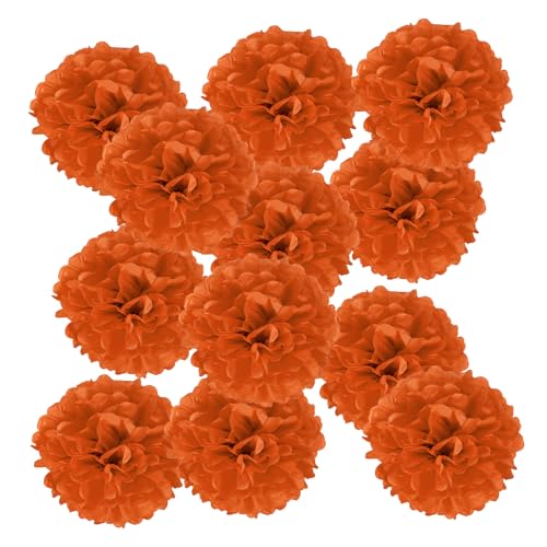PATIKIL 6 Zoll Seidenpapier Pom Poms, 12 Stück Pom Poms Papierblumen Ball Seidenpapierblumen für Hochzeit Brautdusche Geburtstag Junggesellinnenabschied, Orange Rot PATIKIL 6 Zoll Seidenpapier Pom Poms, 12 Stück Pom Poms Papierblumen Ball Seidenpapierblumen für Hochzeit Brautdusche Geburtstag Junggesellinnenabschied, Orange Rot von PATIKIL