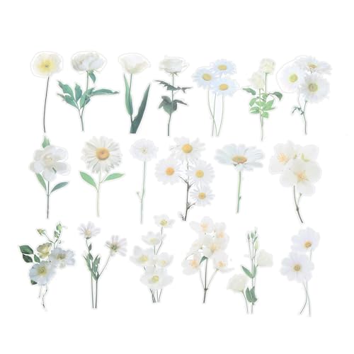 PATIKIL Durchsichtig Weiß Gänseblümchen Blume Vinyl Aufkleber 80 Blatt Wasserfest PET Blumen Aufkleber Blumen Aufkleber für Sammelalbum Heimwerken Wasser Flaschen Weiß PATIKIL Durchsichtig Weiß Gänseblümchen Blume Vinyl Aufkleber 80 Blatt Wasserfest PET Blumen Aufkleber Blumen Aufkleber für Sammelalbum Heimwerken Wasser Flaschen Weiß von PATIKIL
