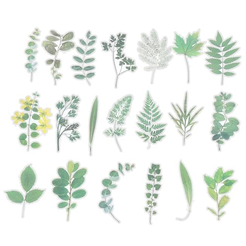 PATIKIL Durchsichtige Blumen Vinyl Aufkleber 40 Blatt Wasserdichte PET Blumen Aufkleber Blumen Aufkleber für Sammelalbum Tagebuch Kunsthandwerk Heimwerken Wasser Flaschen Grün PATIKIL Durchsichtige Blumen Vinyl Aufkleber 40 Blatt Wasserdichte PET Blumen Aufkleber Blumen Aufkleber für Sammelalbum Tagebuch Kunsthandwerk Heimwerken Wasser Flaschen Grün von PATIKIL