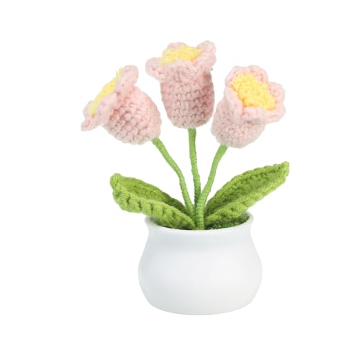 PATIKIL Häkelblumen, handgefertigte gestrickte 3-Kopf Maiglöckchen Kunstblumen im kleinen Topf mit Stielen für Valentinstagsgeschenke, Büro und Partytischen, Pink PATIKIL Häkelblumen, handgefertigte gestrickte 3-Kopf Maiglöckchen Kunstblumen im kleinen Topf mit Stielen für Valentinstagsgeschenke, Büro und Partytischen, Pink von PATIKIL