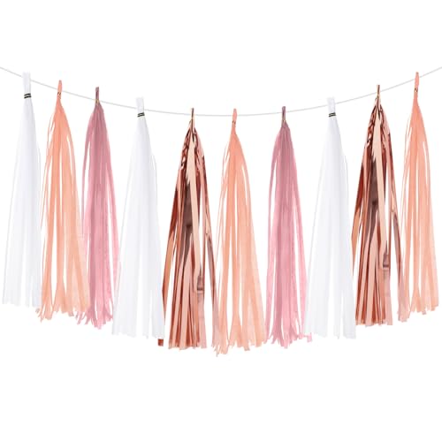 PATIKIL Quasten-Girlande, Banner, Seidenpapier-Quasten, Party-Dekorationen, DIY-Kits für Hochzeit, Geburtstag, Brautparty, Weiß/Koralle/Roségold/Hellrosa, 20 Stück PATIKIL Quasten-Girlande, Banner, Seidenpapier-Quasten, Party-Dekorationen, DIY-Kits für Hochzeit, Geburtstag, Brautparty, Weiß/Koralle/Roségold/Hellrosa, 20 Stück von PATIKIL