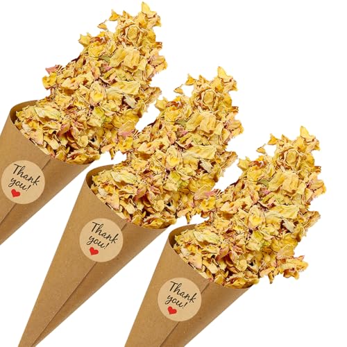 PATIKIL Trockenblumen-Konfetti-Kegel, 30 Stück Papierkegelhalter mit getrockneten Rosenblättern/Aufkleber für Hochzeitsfeier Verlobung Geburtstag DIY Dekoration, Hellgelb/Rosa PATIKIL Trockenblumen-Konfetti-Kegel, 30 Stück Papierkegelhalter mit getrockneten Rosenblättern/Aufkleber für Hochzeitsfeier Verlobung Geburtstag DIY Dekoration, Hellgelb/Rosa von PATIKIL