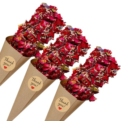 PATIKIL Trockenblumen-Konfetti-Kegel, 30 Stück Papierkegelhalter mit getrockneten Rosenblättern/Aufkleber für Hochzeitsfeier Verlobung Geburtstag DIY Dekoration, Rot/Lila PATIKIL Trockenblumen-Konfetti-Kegel, 30 Stück Papierkegelhalter mit getrockneten Rosenblättern/Aufkleber für Hochzeitsfeier Verlobung Geburtstag DIY Dekoration, Rot/Lila von PATIKIL