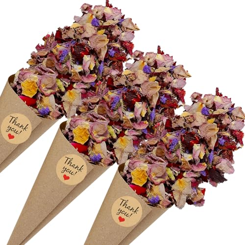 PATIKIL Trockenblumen-Konfetti-Kegel, 30 Stück Papierkegelhalter mit getrockneten Rosenblüten/Aufkleber für Hochzeitsfeier Verlobung Geburtstag DIY Dekoration, Lila PATIKIL Trockenblumen-Konfetti-Kegel, 30 Stück Papierkegelhalter mit getrockneten Rosenblüten/Aufkleber für Hochzeitsfeier Verlobung Geburtstag DIY Dekoration, Lila von PATIKIL