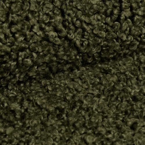 PAW TEXTIL – Polsterstoff Meterware Rolf 140 cm – Bouclé 560 g/m² – 35.000 Zyklen – UV-beständig & schwer entflammbar – Möbelstoff mit Struktur – Stoff Zum Nahen- Armeegrün PAW TEXTIL – Polsterstoff Meterware Rolf 140 cm – Bouclé 560 g/m² – 35.000 Zyklen – UV-beständig & schwer entflammbar – Möbelstoff mit Struktur – Stoff Zum Nahen- Armeegrün von PAW TEXTIL
