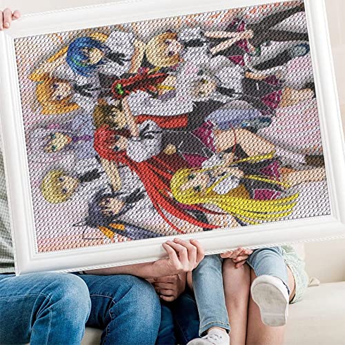 DIY 5D Diamond Painting Kits for Adults Kids, High School DXD art ,Full Drill Diamond Embroidery Kits Cross Stitch Crystal Rhinestone Pictures Arts Craft Home Wall Decoration（Runder Diamant40x40cm） von PAWCA