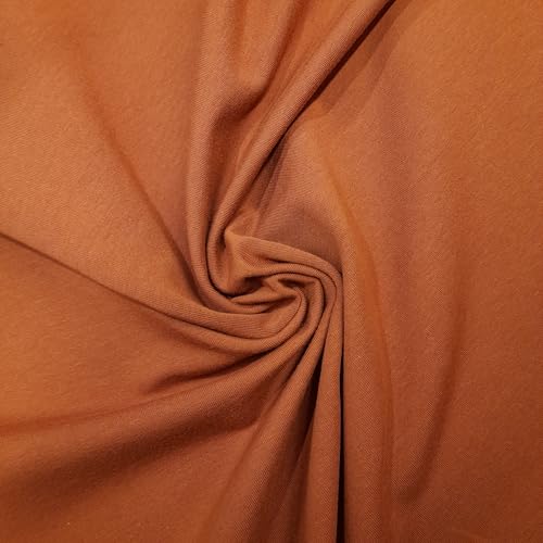 PAWOTEX French Terry Meterware Uni Sweatshirt Baumwollstoff Meterware Stoffe Zum Nähen Sweatshirtstoff Meterware einfarbig Kinder Sweatstoff Meterware 170x0,5 m 280g Farbe: Braun(zimnt) von PAWOTEX FABRYKA DZIANIN