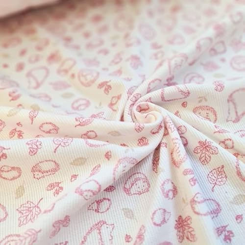 PAWOTEX Ripp jersey Rippjersey Stoff Meterware Rib Jersey Bedruckt Igel Ribstrick Elastische Gerippter Jerseystoff Ökotex baumwollstoff für Bekleidung Kinder, Mädchen Tops Mützen Schals 100x50cm 240g PAWOTEX Ripp jersey Rippjersey Stoff Meterware Rib Jersey Bedruckt Igel Ribstrick Elastische Gerippter Jerseystoff Ökotex baumwollstoff für Bekleidung Kinder, Mädchen Tops Mützen Schals 100x50cm 240g von PAWOTEX FABRYKA DZIANIN