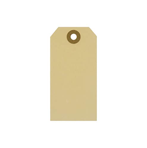 1.000 Manila-Etiketten Kartonetiketten einzeln ohne Faden beige-braun | PB-Onlinehandel (100x50mm) von PB-Onlinehandel