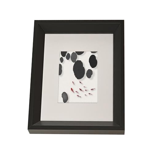 PBDEIOEOE Bilderrahmen, Holz-Foto-Bild-Poster-Rahmen, Mehrfarbig, 15 x 10 cm(Black) von PBDEIOEOE