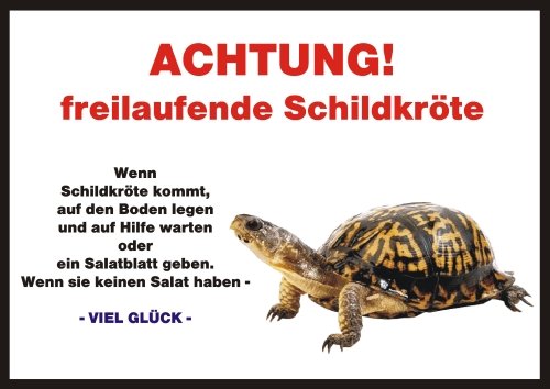 PEMA INDIGOS UG - Achtung/Fun Schild - Schildkröte Türschild Türschild laminiert DIN A5 - Türschild für Käfig, Zwinger, Haustier, Tür, Tier, Aquarium von PEMA