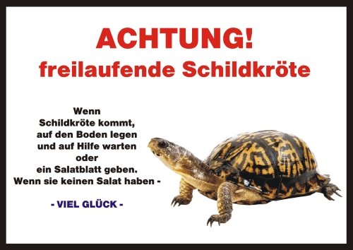 PEMA INDIGOS UG - Achtung/Fun Schild - Schildkröte Türschild Türschild laminiert DIN A5 - Türschild für Käfig, Zwinger, Haustier, Tür, Tier, Aquarium von PEMA