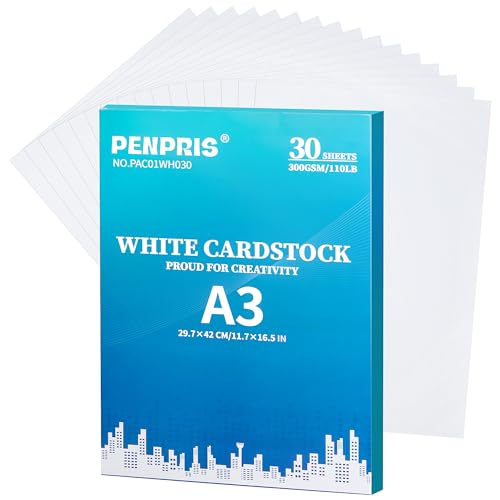 30 Blatt Weiß Kartonpapier - 300gsm 110lb A3 Schweres Dickes Papier - Zum Drucken für DIY Kartenherstellung, Einladungen, Postkarten, Visitenkarten PAC01WH030 von PENPRIS