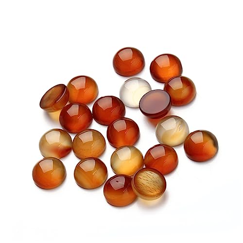 PERSELOSO 20Stücke Rote Karneol Cabochons für DIY Schmuckherstellung mit Runder Basis Zubehör für Bastelprojekte Einzigartiges Design für Ohrringe und Mehr PERSELOSO 20Stücke Rote Karneol Cabochons für DIY Schmuckherstellung mit Runder Basis Zubehör für Bastelprojekte Einzigartiges Design für Ohrringe und Mehr von PERSELOSO