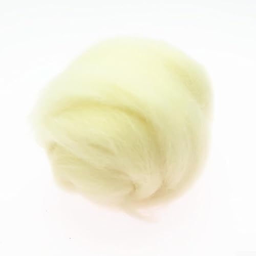 20 g kardierte Perendale-Wolle für Nadelfilzen und kreative Bastelprojekte (10#) von PETSTIBLE