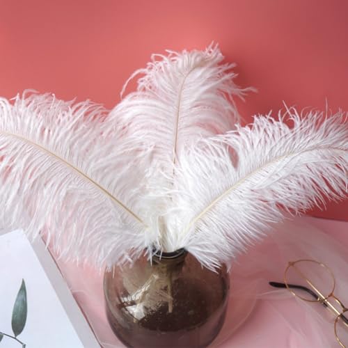 PETSTIBLE 10 Federn Deko Requisiten, Weiße Feder Deko Hochzeit Deko Foto Requisiten Wohnzimmer Dekoration PETSTIBLE 10 Federn Deko Requisiten, Weiße Feder Deko Hochzeit Deko Foto Requisiten Wohnzimmer Dekoration von PETSTIBLE