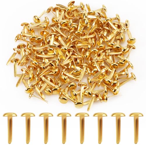 150stk Papierverschlüsse, Mini Brad Runde Büroklammern für Papierbasteleien Runde Verschlüsse Sammelalben Messingverschlüsse für Kinder Bastelkarten Fotowände (Gold) von PEUTIER