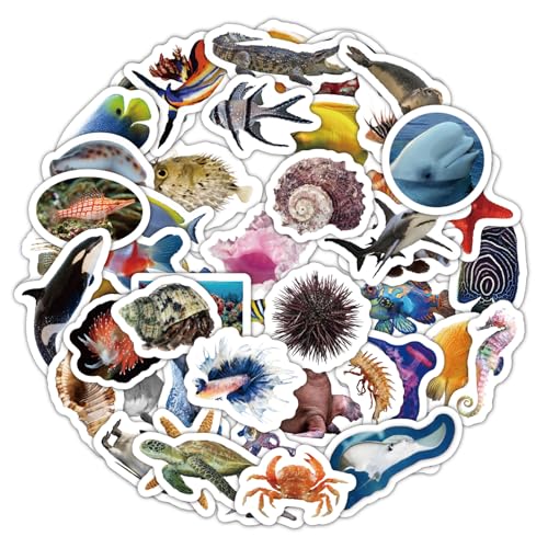50stk Realistische Aufkleber mit Meerestieren, Bunt Tropische Fische Delfine Haie Wasserfest Partygeschenke für Kinder Erwachsene Wasserflaschen Laptops 50stk Realistische Aufkleber mit Meerestieren, Bunt Tropische Fische Delfine Haie Wasserfest Partygeschenke für Kinder Erwachsene Wasserflaschen Laptops von PEUTIER