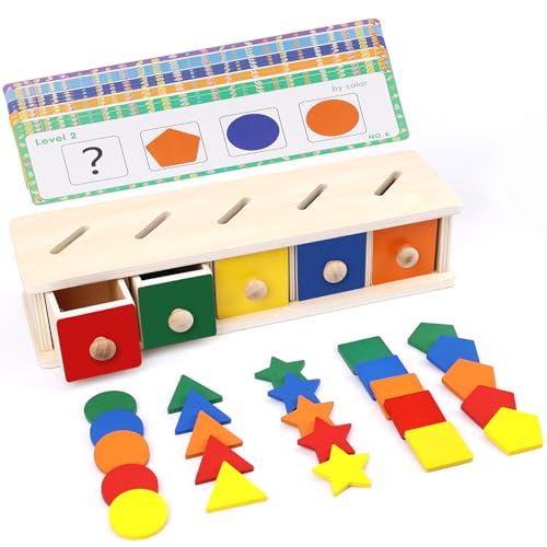 PEUTIER Holz Farbform Sortierbox, Montessori Spielzeug Sortier und Stapelspielzeug Frühlernspielzeug für Babys Kleinkinder von PEUTIER