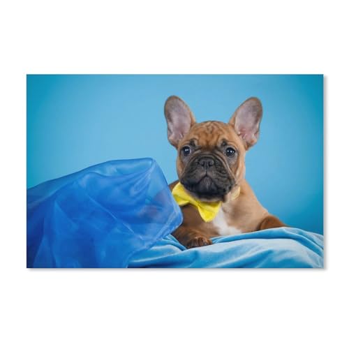 PGCKSK 5D DIY Diamond Painting，Französischer Bulldogge-Welpe，Full Round Drill Cross Stitch Home Decor（40x50cm）-D62 von PGCKSK
