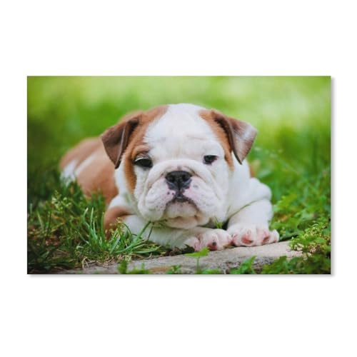 PGCKSK Englische Bulldogge liegt im Gras，DIY 5D Diamond Painting Set Full Diamond Round Diamond Diamond Wohnzimmer Schlafzimmer Dekorative Malerei Einfache Modern（40x50cm）-D11 von PGCKSK