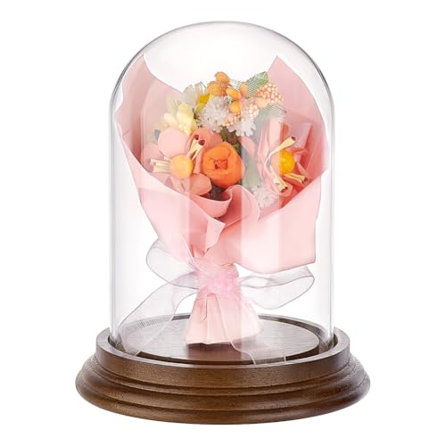 PH PandaHall 10,7 x 14 cm Glasvitrine, klare Glocke, Vitrine, Glaskuppel, Tischplatte, Mittelstück mit Massivholzsockel für selbstgemachte Schneekugeln, Blumen, Pflanzen, Geburtstag, Heimdekoration PH PandaHall 10,7 x 14 cm Glasvitrine, klare Glocke, Vitrine, Glaskuppel, Tischplatte, Mittelstück mit Massivholzsockel für selbstgemachte Schneekugeln, Blumen, Pflanzen, Geburtstag, Heimdekoration von PH PandaHall