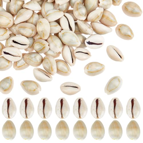 PH PandaHall 100 Stück Natürliche Cowrie Muscheln, 20mm Ring Top Kaurimuschel Ozean Strand Muscheln Kleine Craft Kaurimuscheln Ornament für DIY Craft Sommer Party Tisch Hut Kostüm Dekoration, 250g PH PandaHall 100 Stück Natürliche Cowrie Muscheln, 20mm Ring Top Kaurimuschel Ozean Strand Muscheln Kleine Craft Kaurimuscheln Ornament für DIY Craft Sommer Party Tisch Hut Kostüm Dekoration, 250g von PH PandaHall