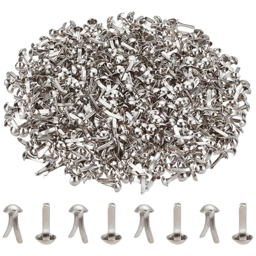 PH PandaHall 1000 Stück Mini Brads, Musterbeutelklammern Splitter Brads Papierbefestigungen Eisen Splintstift DIY Brads Papierbefestigungen Für Papierhandwerk, Schule, Kunstprojekte, Scrapbooking von PH PandaHall