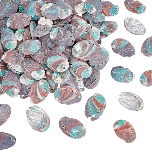 PH PandaHall 110 Stück Natürliche grüne Abalone Muschel, 50mm Ozean Strand Muscheln Kleine Muschel Ornament mit Loch für DIY Craft Sommer Party Tisch Windspiel Kostüm Dekoration, 500g von PH PandaHall