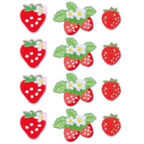 PH PandaHall 12 Stück Erdbeere Iron-On-Patches Frucht Nähmuster 3 Stile Süße Rote Stickereiapplikationen Dekorative Reparaturmuster Für Nähen Kleidung Jacke Jeans Rucksack Hut von PH PandaHall
