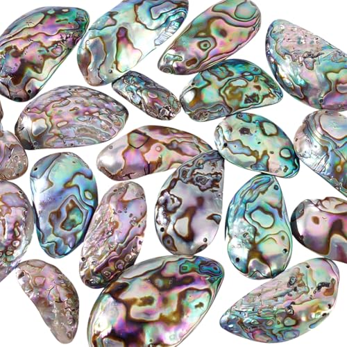 PH PandaHall 20 Stück Natürliche Abalone Muschelperlen 24~50mm Abalone Schmuck Bunte Unregelmäßige Paua Muschelperlen Zum Basteln Armbänder Ohrringe 2 Stränge von PH PandaHall
