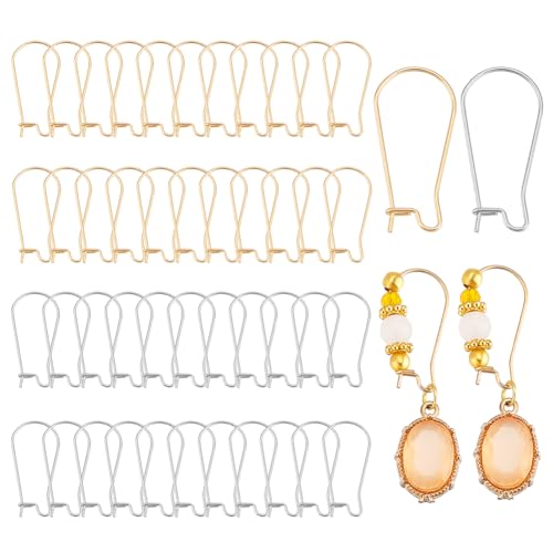 PH PandaHall 200 Stück Edelstahl Ohrringhaken Hypoallergen Nierenförmige Ohrhaken Austauschbare Baumelnde Ohrhaken Tropfenohrhaken Metall Ohr Draht Haken Für DIY Ohrring (Gold/Silber) von PH PandaHall