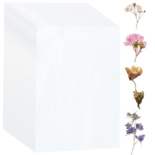 PH PandaHall 50 Stück Blottingpapier für Blumenpresse, saugfähiges Papier großes A4 Blumenpresspapier Herbariumpapier Blotterblätter für Herbariumhandwerk Trockenblumenherstellung Accessoires 30x20cm PH PandaHall 50 Stück Blottingpapier für Blumenpresse, saugfähiges Papier großes A4 Blumenpresspapier Herbariumpapier Blotterblätter für Herbariumhandwerk Trockenblumenherstellung Accessoires 30x20cm von PH PandaHall