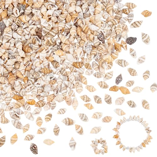 PH PandaHall 540 Stück Natürliche Spiralförmige Muschelperlen 10~15mm Große Gebohrte Mini Muscheln Mit Meeresstrand Motiv Kleine Muscheln Zum Basteln Für Die Schmuckherstellung Dekoration Für Aquarien PH PandaHall 540 Stück Natürliche Spiralförmige Muschelperlen 10~15mm Große Gebohrte Mini Muscheln Mit Meeresstrand Motiv Kleine Muscheln Zum Basteln Für Die Schmuckherstellung Dekoration Für Aquarien von PH PandaHall