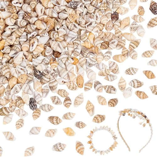 PH PandaHall 594 Stück Natürliche Spiralförmige Muschelperlen 13~19 mm Große Gebohrte Mini Muscheln Mit Meeresstrand Motiv Zum Basteln Für Die Herstellung von Schmuck Hochzeit Party Dekoration von PH PandaHall