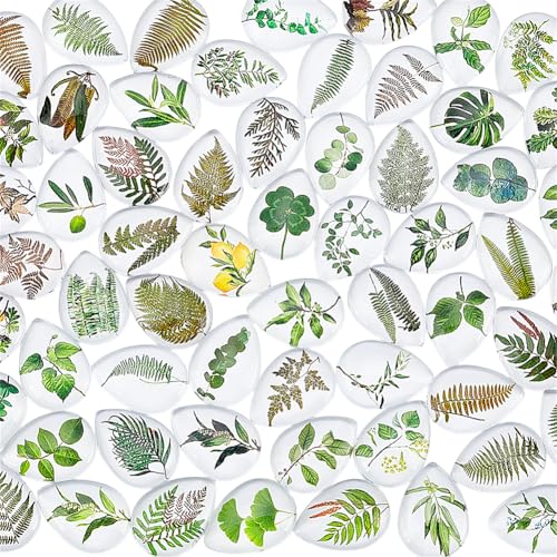 PH PandaHall 60 Styles Pflanze Teardrop Glas Cabochons Grüne Pflanzen Thema Cabochons Blatt Flatback Kuppel Cabochons für Craft Anhänger Halskette Ohrring Schlüsselanhänger Schmuck machen, 25×18mm PH PandaHall 60 Styles Pflanze Teardrop Glas Cabochons Grüne Pflanzen Thema Cabochons Blatt Flatback Kuppel Cabochons für Craft Anhänger Halskette Ohrring Schlüsselanhänger Schmuck machen, 25×18mm von PH PandaHall