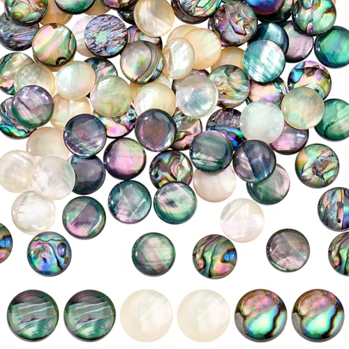 PH PandaHall 90 Stück 3 Farben Abalone Shell Cabochon 10mm Acryl Abalone Shell Perlen Paua Shell Cabochons Halbrunde Muschelperlen für Armband Ohrring Schmuckherstellung PH PandaHall 90 Stück 3 Farben Abalone Shell Cabochon 10mm Acryl Abalone Shell Perlen Paua Shell Cabochons Halbrunde Muschelperlen für Armband Ohrring Schmuckherstellung von PH PandaHall