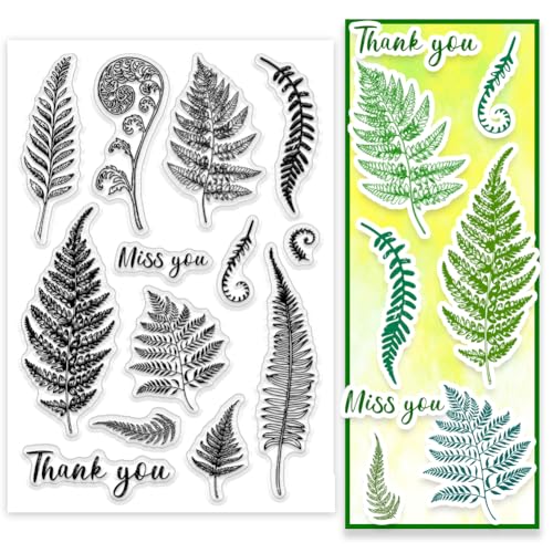 PH PandaHall Farn Blatt Clear Stamps Blatt Gummistempel Gras Pflanze Muster Silikonstempel Pflanzen Worte Transparente Siegel für Scrapbooking Kartenherstellung Fotoalbum Dekoration 16x11 cm PH PandaHall Farn Blatt Clear Stamps Blatt Gummistempel Gras Pflanze Muster Silikonstempel Pflanzen Worte Transparente Siegel für Scrapbooking Kartenherstellung Fotoalbum Dekoration 16x11 cm von PH PandaHall