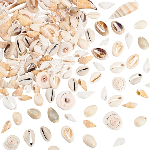 PandaHall 115~125pcs Sea Shell Ocean Beach Spiral Seashells Natürliche Kauri Muschel Perlen für Armband Kerzenherstellung, Heimdekoration, Strandthema-Party, Hochzeitsdeko, Bilderrahmen Dekoration PandaHall 115~125pcs Sea Shell Ocean Beach Spiral Seashells Natürliche Kauri Muschel Perlen für Armband Kerzenherstellung, Heimdekoration, Strandthema-Party, Hochzeitsdeko, Bilderrahmen Dekoration von PH PandaHall