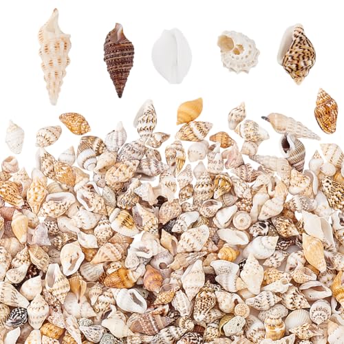 PandaHall 1300-1500Pcs Tiny Sea Shell Ocean Beach Spirale Muscheln Craft Charms 7-12mm Muscheln für Kerzenherstellung, Dekoration, Strand-Thema-Party-Hochzeitsdekor Aquarium Vase Filler, Kein Loch PandaHall 1300-1500Pcs Tiny Sea Shell Ocean Beach Spirale Muscheln Craft Charms 7-12mm Muscheln für Kerzenherstellung, Dekoration, Strand-Thema-Party-Hochzeitsdekor Aquarium Vase Filler, Kein Loch von PandaHall