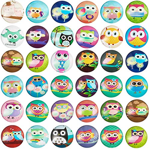 PandaHall Glas-Cabochons, halbrund, flache Rückseite, eule, 25mm (1 Inch) von PH PandaHall