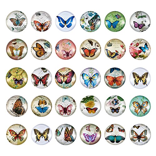 PandaHall Glas-Cabochons, halbrund, flache Rückseite, schmetterling, 25mm (1 Inch) von Yilisi