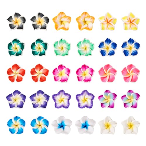 PandaHall Polymer-Ton-Blumenperlen, Mini-3D-Hawaii-Plumeria-Perlen, tropische Blumen, Cabochons, flache Rückseite, 15 ~ 16 mm, für Bastelarbeiten, Schmuckherstellung, 120 Stück PandaHall Polymer-Ton-Blumenperlen, Mini-3D-Hawaii-Plumeria-Perlen, tropische Blumen, Cabochons, flache Rückseite, 15 ~ 16 mm, für Bastelarbeiten, Schmuckherstellung, 120 Stück von PH PandaHall