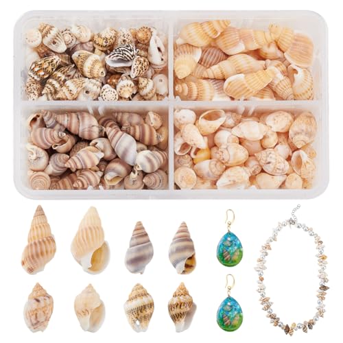 PandaHall Über 70g / 330pcs 4 Styles Spiral Shells, Ocean Beach Conch Muscheln Mit Loch Und Ohne Loch Für Armbandschmuck, Kunst, Heimtextilien, Aquarium Und Vasenfüller PandaHall Über 70g / 330pcs 4 Styles Spiral Shells, Ocean Beach Conch Muscheln Mit Loch Und Ohne Loch Für Armbandschmuck, Kunst, Heimtextilien, Aquarium Und Vasenfüller von PandaHall