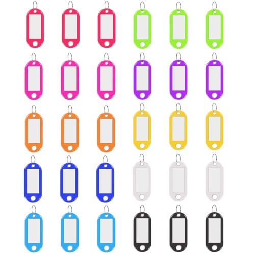 PHCOZY 30 Pcs Schlüsselanhänger mit beschreibbaren Etiketten und Schlaufen aus Kunststoff in 10 austauschbaren Farben von PHCOZY