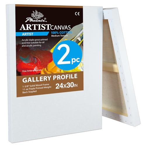 PHOENIX Galerie-Leinwand, 61 x 76,2 cm, 3,8 cm dick, extra groß, zum Malen, 100 % Baumwolle, 325 ml, Gesso grundiert, weiß, blanko, professionelle Leinwand, Öl- und Acrylfarben, 2 Stück PHOENIX Galerie-Leinwand, 61 x 76,2 cm, 3,8 cm dick, extra groß, zum Malen, 100 % Baumwolle, 325 ml, Gesso grundiert, weiß, blanko, professionelle Leinwand, Öl- und Acrylfarben, 2 Stück von PHOENIX