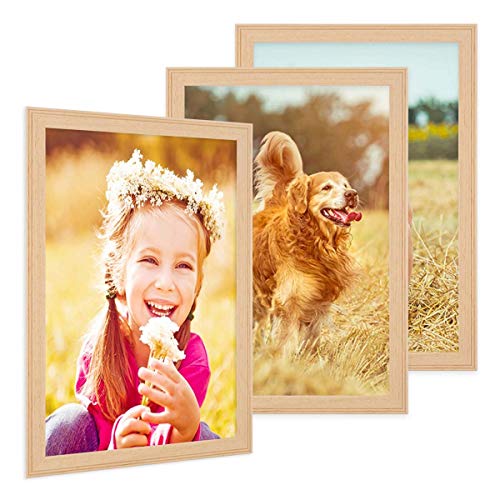 PHOTOLINI Bilderrahmen 20x30 cm Holz Natur Landhaus-Stil, 3er Set Holz-Rahmen, Made in Germany, Echtglas, zum Aufhängen, mit Zubehör - perfekt für Familienfotos & Urlaubsbilder PHOTOLINI Bilderrahmen 20x30 cm Holz Natur Landhaus-Stil, 3er Set Holz-Rahmen, Made in Germany, Echtglas, zum Aufhängen, mit Zubehör - perfekt für Familienfotos & Urlaubsbilder von PHOTOLINI